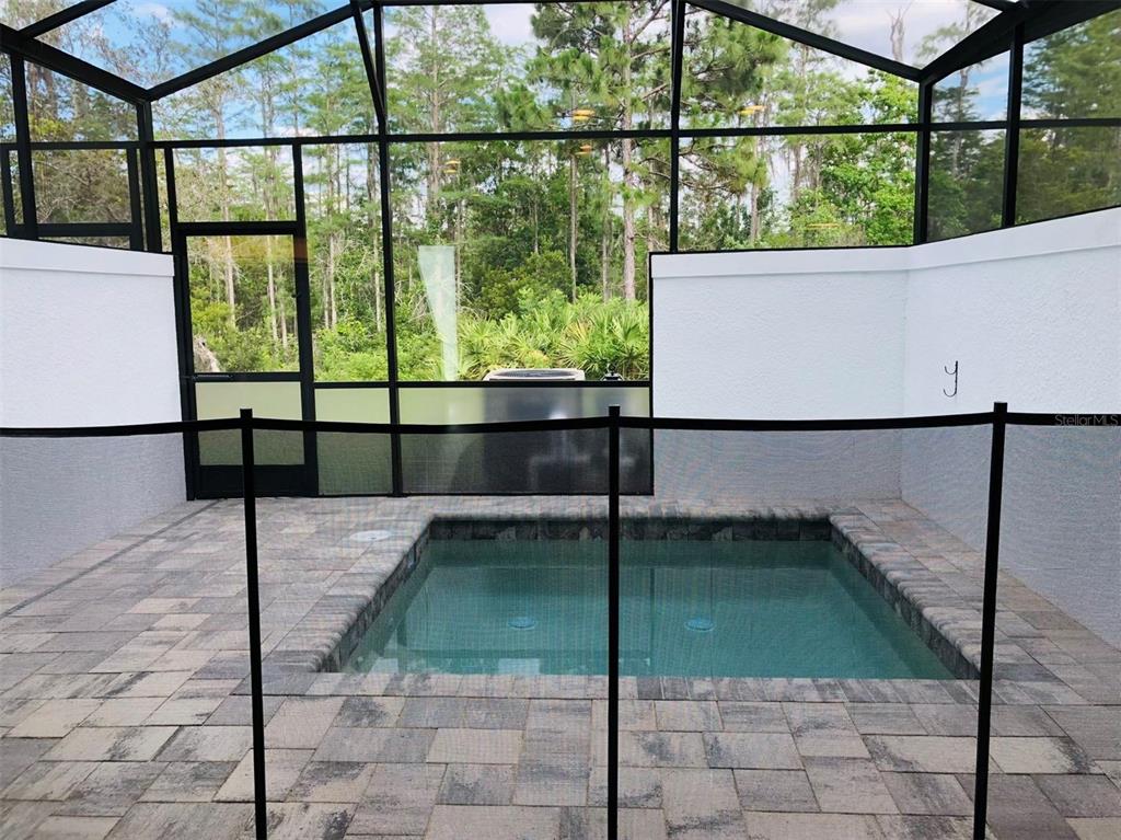 A small rectangular pool sits on a paved patio inside a screened-in lanai enclosure — 17240 BLESSING DRIVE, CLERMONT, FL