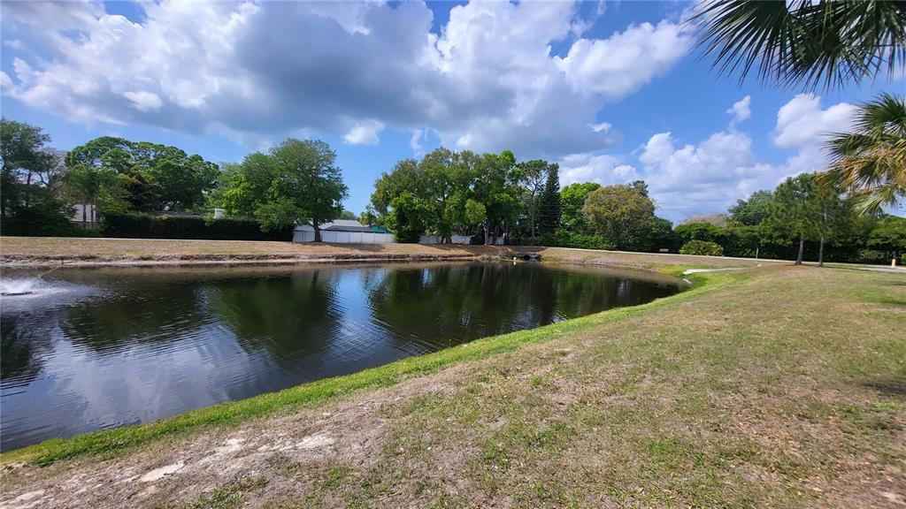 A pond with a fountain is surrounded by grassy banks and mature trees — 2291 AMERICUS BOULEVARD W UNIT 37, CLEARWATER, FL