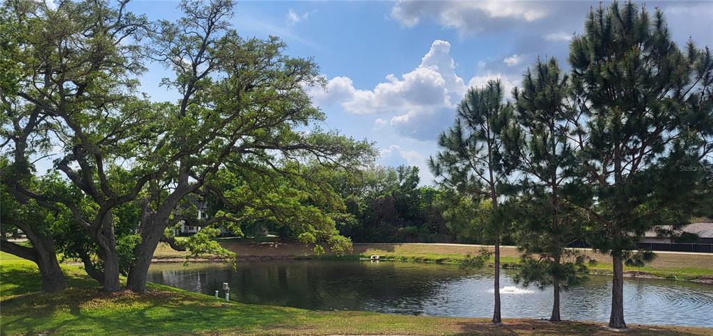 A view of a small pond surrounded by large oak trees and pine trees — 2291 AMERICUS BOULEVARD W UNIT 37, CLEARWATER, FL