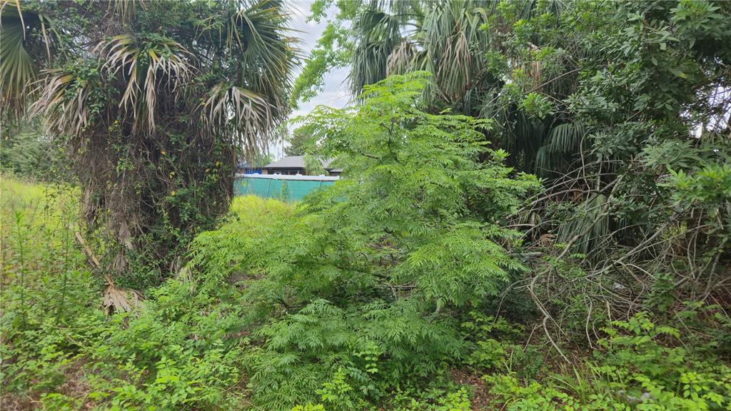 VILLA DRIVE, HUDSON, FL — photo 4 of 11