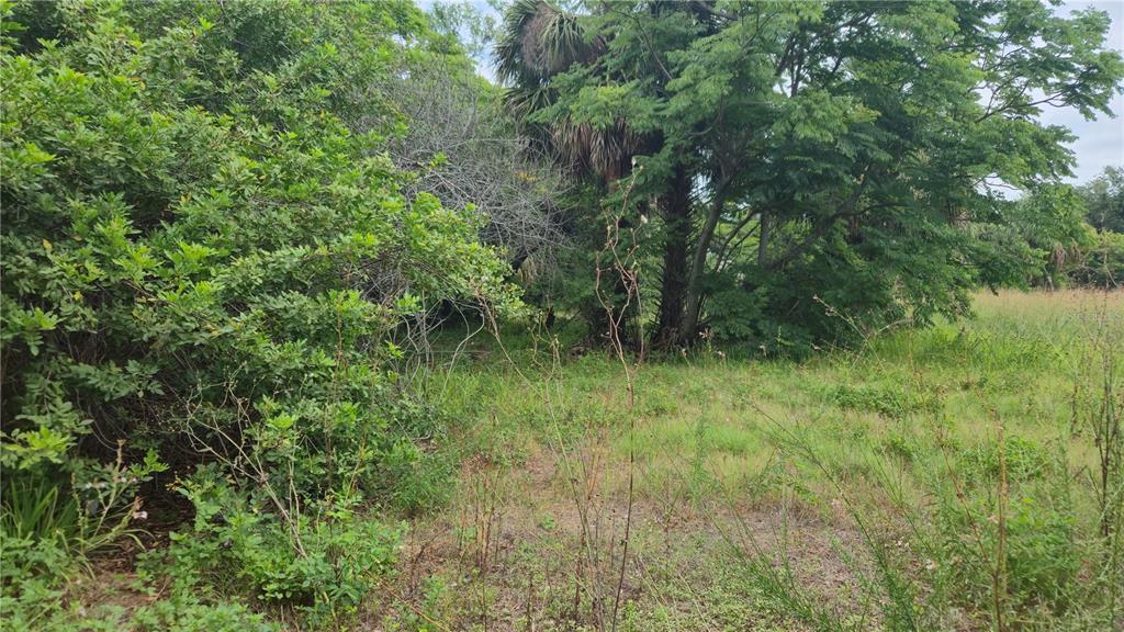 VILLA DRIVE, HUDSON, FL — photo 5 of 11