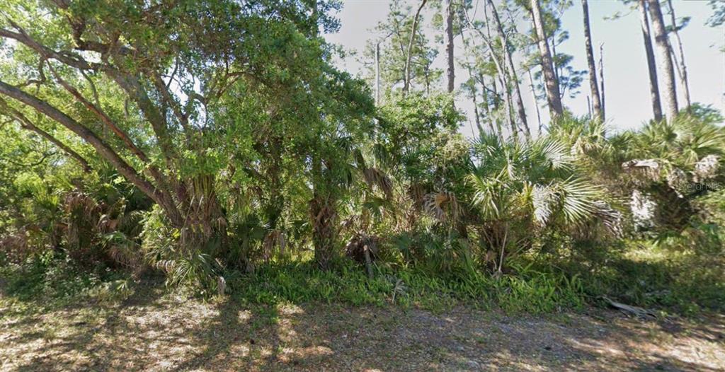 A wooded lot with dense trees, palmettos, and native vegetation under a clear blue sky — 17469 & 17477 DUDLEY AVENUE, PORT CHARLOTTE, FL