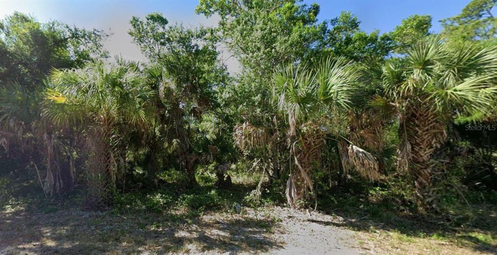 A dense, wooded lot features several tall palm trees and various green shrubs and trees — 17469 & 17477 DUDLEY AVENUE, PORT CHARLOTTE, FL
