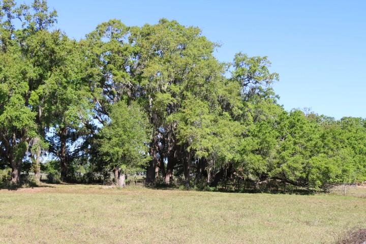 CR 48, BUSHNELL, FL — photo 2 of 30