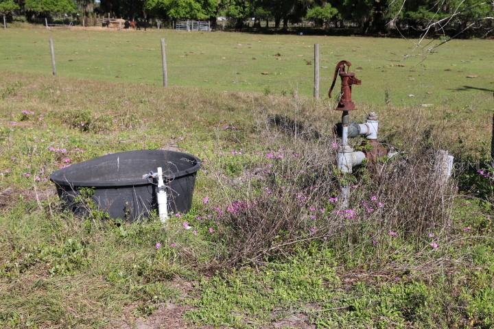 CR 48, BUSHNELL, FL — photo 3 of 30