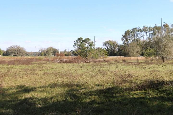CR 48, BUSHNELL, FL — photo 5 of 30