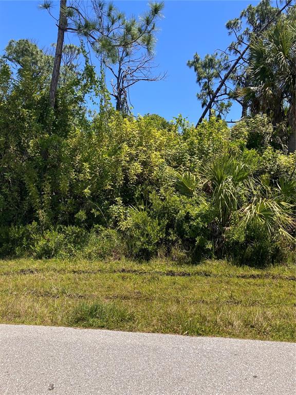 A view of a densely wooded, undeveloped lot from an adjacent paved road — 6146 TEDDER STREET, PORT CHARLOTTE, FL