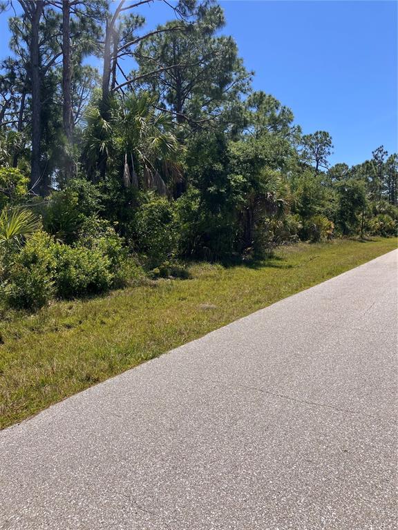 A paved road runs alongside a wooded lot with dense trees and native vegetation — 6146 TEDDER STREET, PORT CHARLOTTE, FL