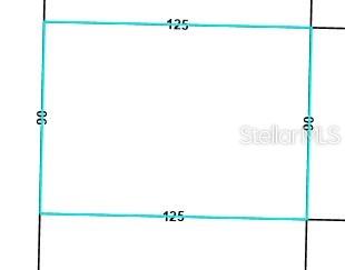This is a rectangular property survey map showing dimensions of 125 feet by 90 feet — Lot 8 Unit 14 Blk 1298 DARLENE AVENUE, CHIPLEY, FL