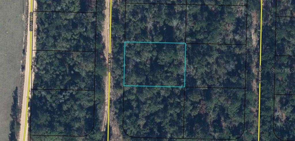 This is an aerial map view of a rectangular plot of land — Lot 8 Unit 14 Blk 1298 DARLENE AVENUE, CHIPLEY, FL
