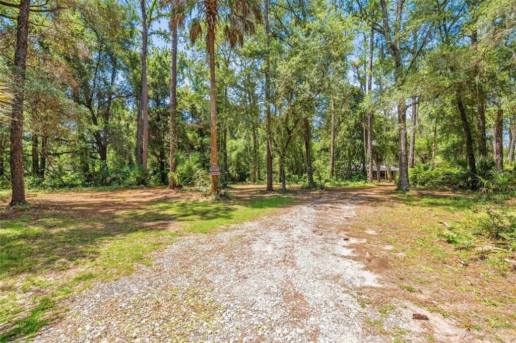 A gravel driveway leads through a wooded lot with tall trees and scattered vegetation — 9661 W DEEPWOODS DRIVE, CRYSTAL RIVER, FL