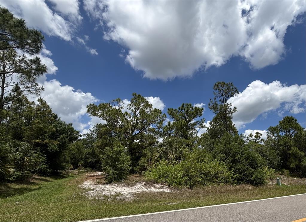A vacant, wooded lot with sandy ground sits beside a paved road under a cloudy sky — 159 MACARTHUR DRIVE, PORT CHARLOTTE, FL