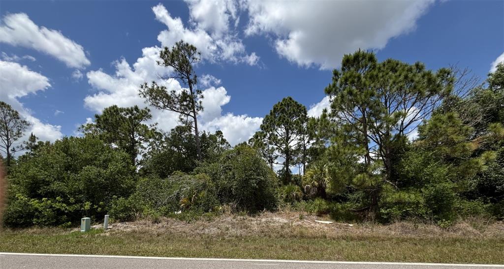 A vacant, wooded lot with pine trees and native vegetation sits beside a paved road — 159 MACARTHUR DRIVE, PORT CHARLOTTE, FL