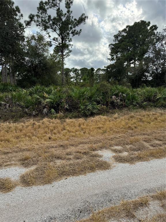 A gravel road runs alongside a dense area of palmettos and tall pine trees — BROWARD AVENUE, NORTH PORT, FL