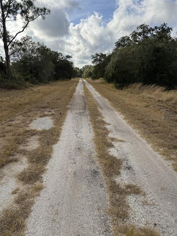 A dirt road stretches through a grassy field lined with trees under a cloudy sky — BROWARD AVENUE, NORTH PORT, FL