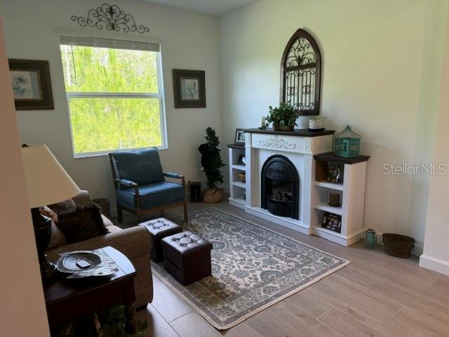 A living room features a fireplace, a blue armchair, a patterned rug, and wood flooring — 9760 MINNOW RAY DRIVE, LAND O LAKES, FL