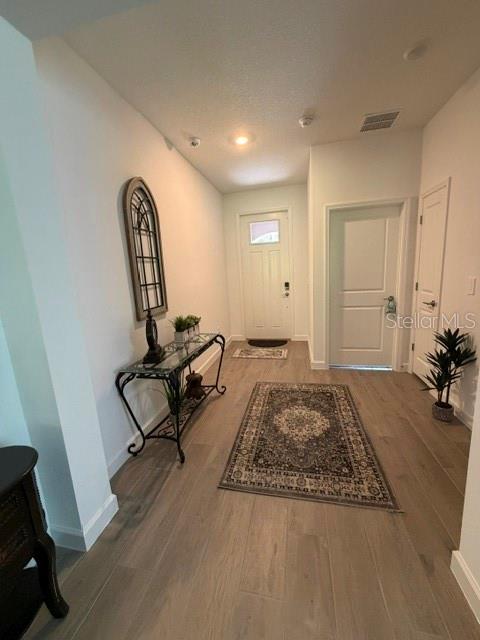A bright entryway features light wood-look flooring, a console table, and a patterned area rug — 9760 MINNOW RAY DRIVE, LAND O LAKES, FL