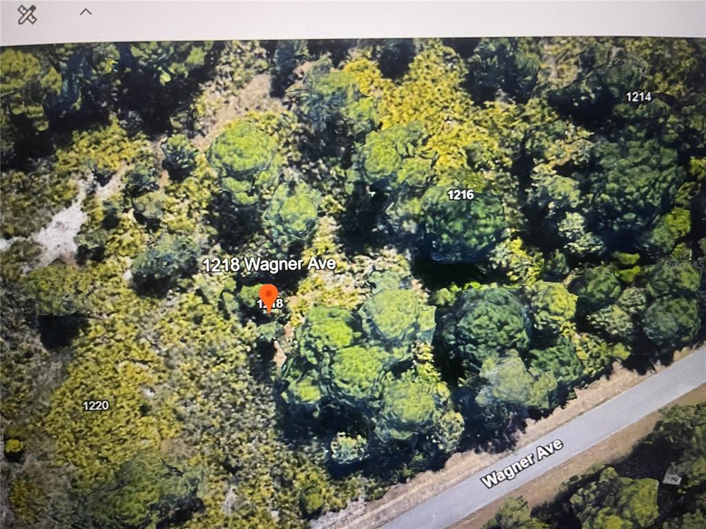 This aerial view shows a wooded, undeveloped lot located along a paved road — 1218 WAGNER AVENUE, LEHIGH ACRES, FL