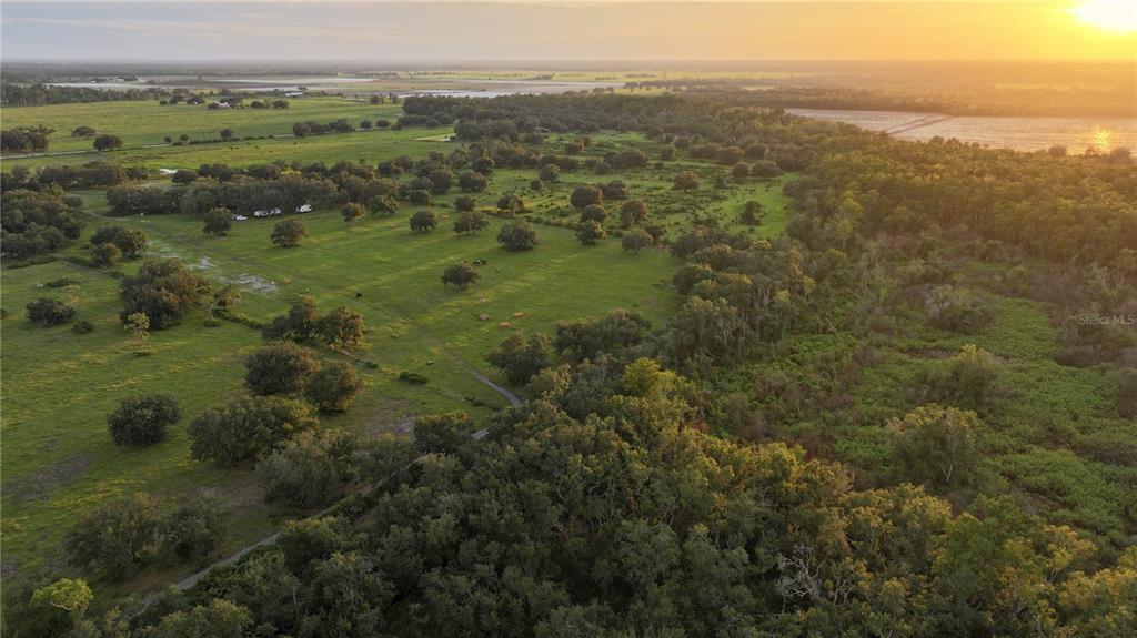 An aerial view of a grassy pasture with scattered trees and a dense forest edge — 45855 CLAY GULLY ROAD, MYAKKA CITY, FL
