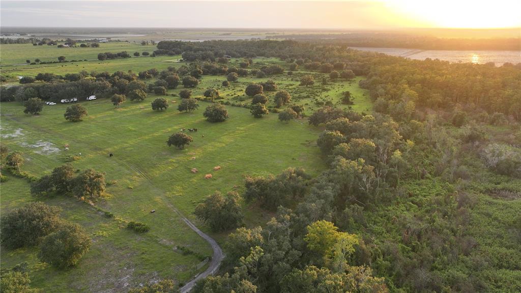 An aerial view shows a large, grassy pasture dotted with trees and bordered by woods — 45855 CLAY GULLY ROAD, MYAKKA CITY, FL