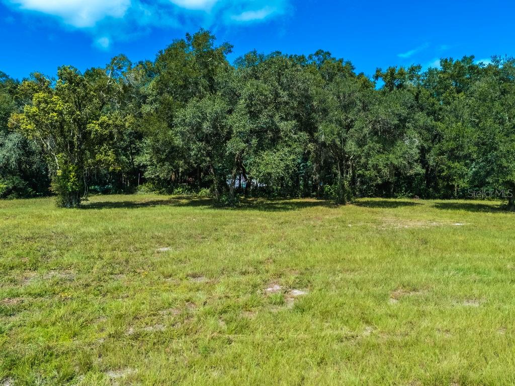 TBD SE HWY 41, MORRISTON, FL — photo 2 of 30