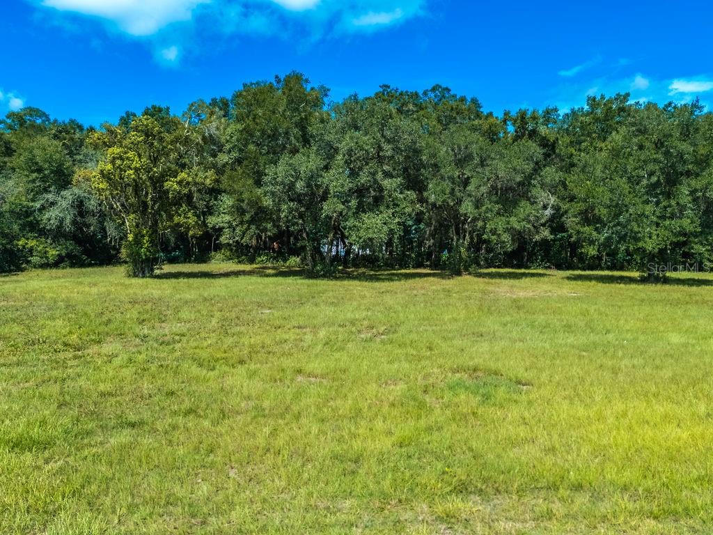 TBD SE HWY 41, MORRISTON, FL — photo 5 of 30