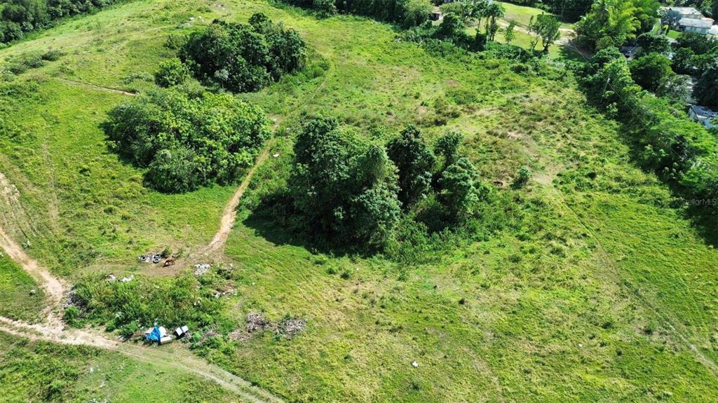 An aerial view of a grassy, sloped lot with scattered trees and dirt paths — BO ALMIRANTE SUR CARRETERA 160 (A), VEGA BAJA, PR