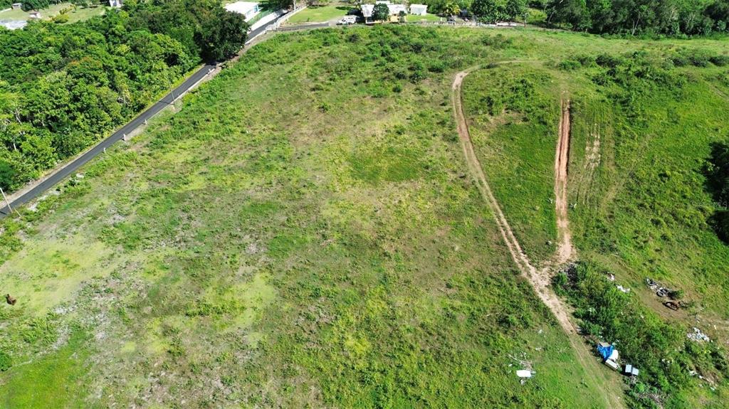 An aerial view shows a large, grassy, undeveloped plot of land next to a road — BO ALMIRANTE SUR CARRETERA 160 (A), VEGA BAJA, PR
