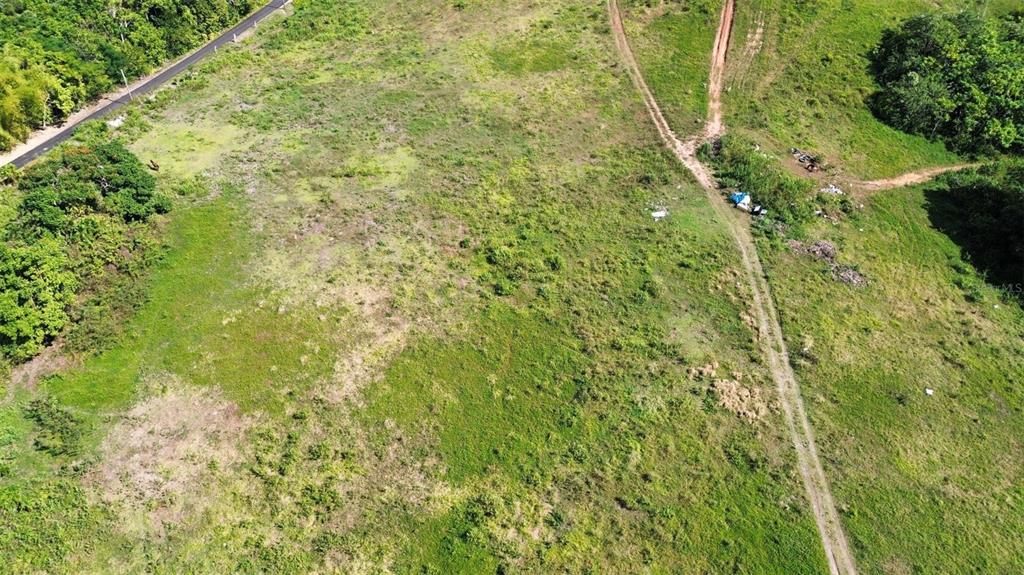 An aerial view of a large, grassy, undeveloped plot of land with a dirt path — BO ALMIRANTE SUR CARRETERA 160 (A), VEGA BAJA, PR