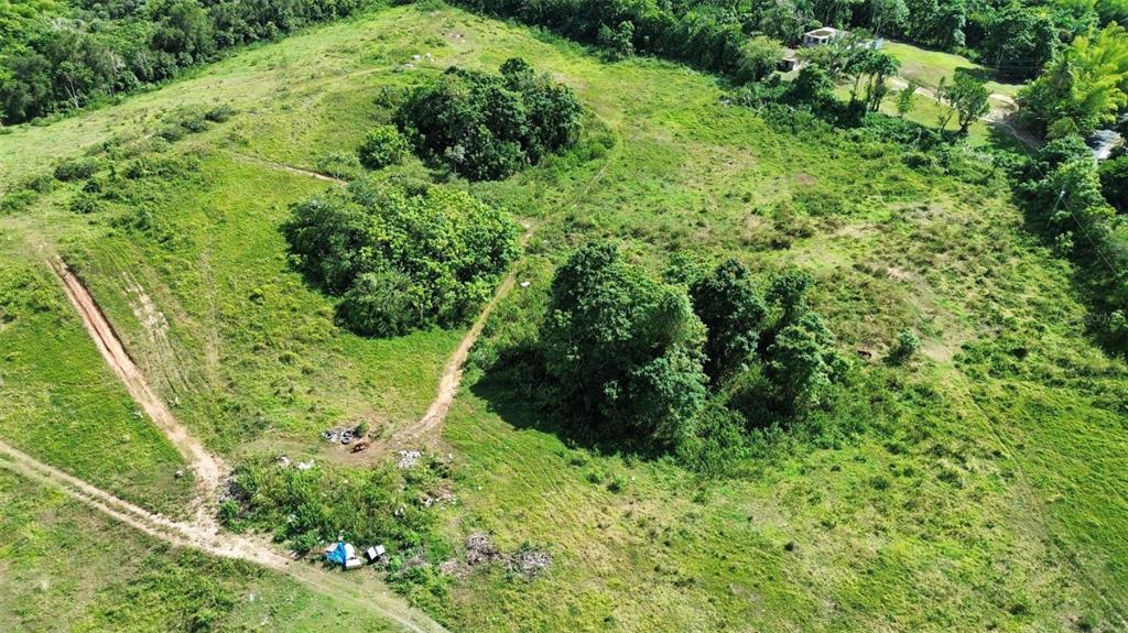 An aerial view of a grassy, hilly landscape with scattered clusters of trees and dirt paths — BO ALMIRANTE SUR CARRETERA 160 (A), VEGA BAJA, PR