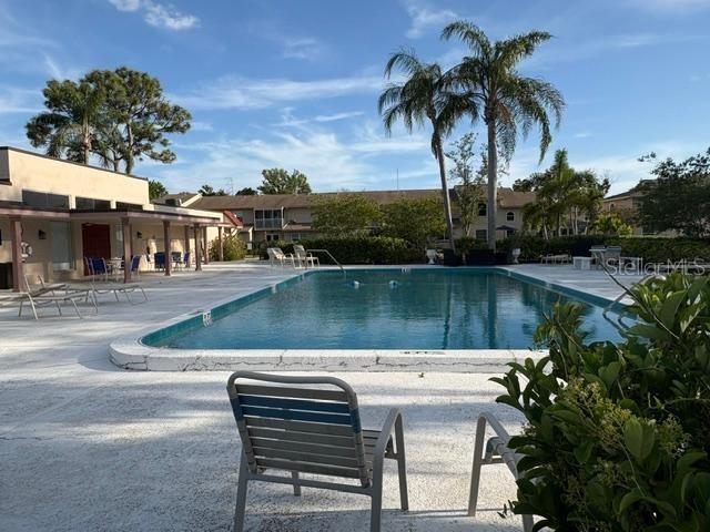A swimming pool sits on a concrete patio surrounded by lounge chairs and palm trees — 9700 STARKEY ROAD UNIT 113, SEMINOLE, FL