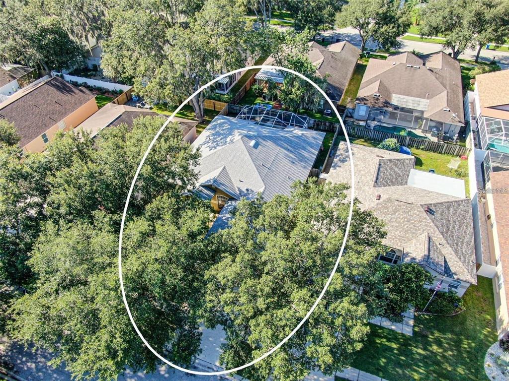 An aerial view shows a single-family home surrounded by large trees and a screened-in patio — 2634 BROOKVILLE DRIVE, VALRICO, FL