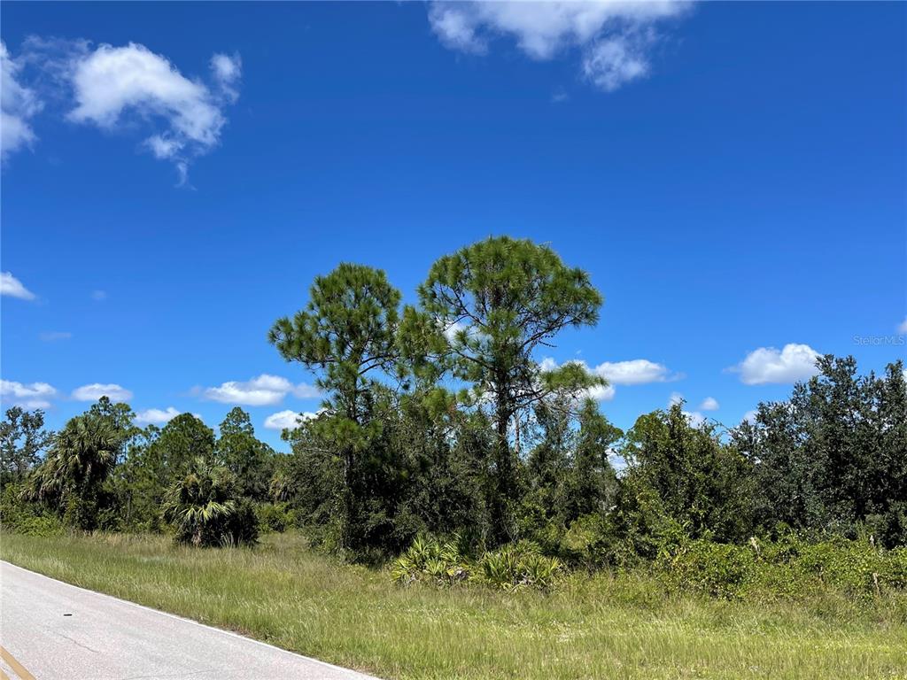 A paved road runs alongside a grassy lot with scattered trees under a blue sky — 27554 MONTE CRISTO BOULEVARD, PUNTA GORDA, FL