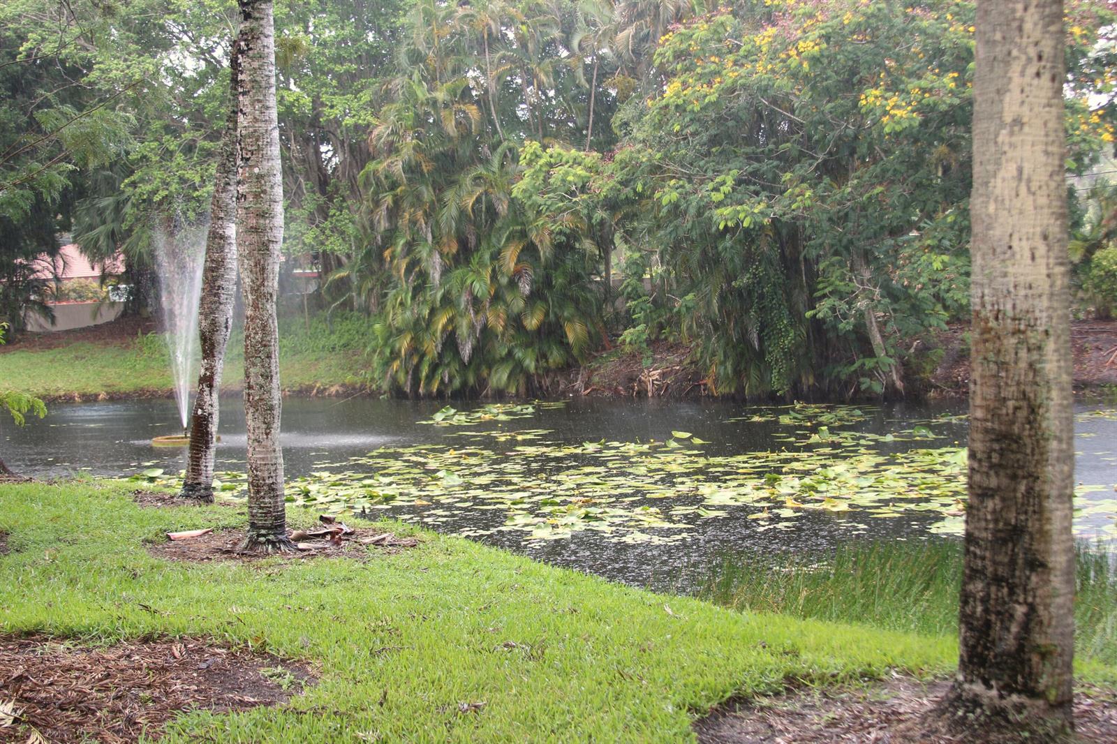 A fountain sprays water into a pond surrounded by lush trees and lily pads — 7705 Forest Green Lane, Boynton Beach FL 33436, BOYNTON BEACH, FL