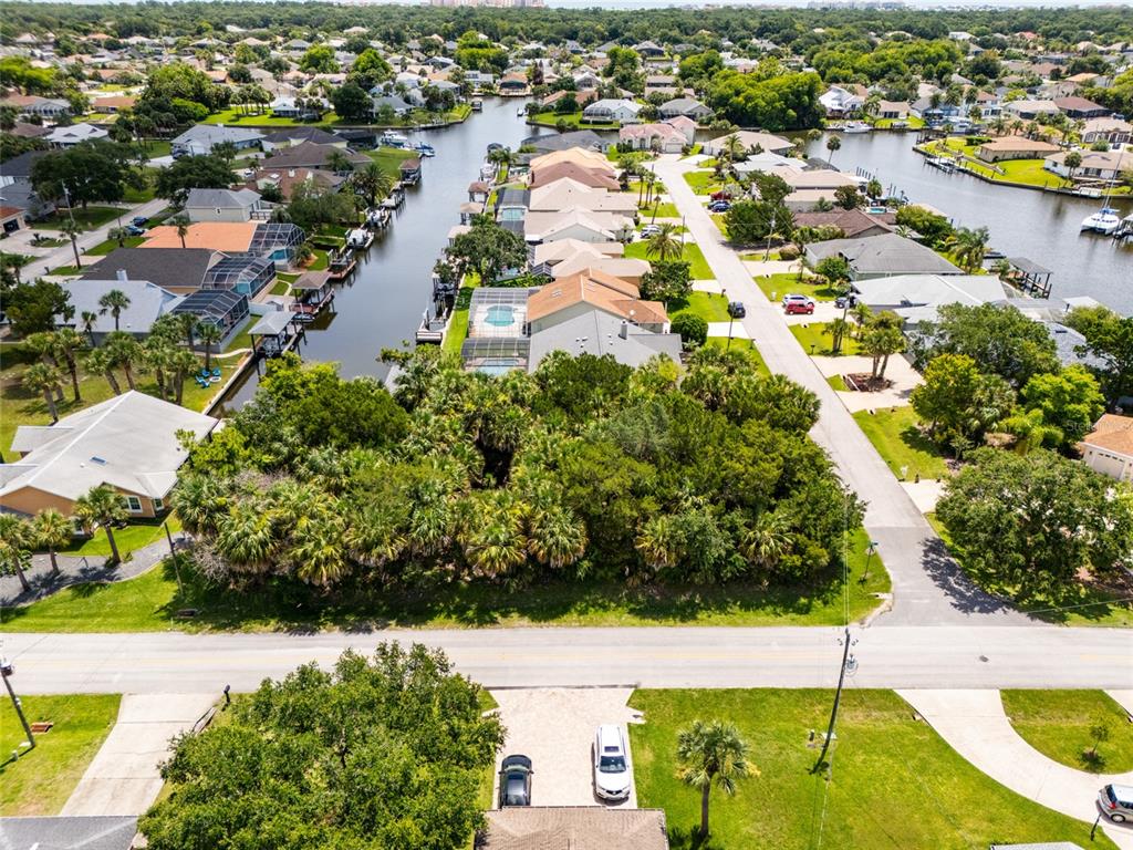 An aerial view shows a residential neighborhood with houses, canals, and a wooded lot — 34 COCHISE COURT, PALM COAST, FL