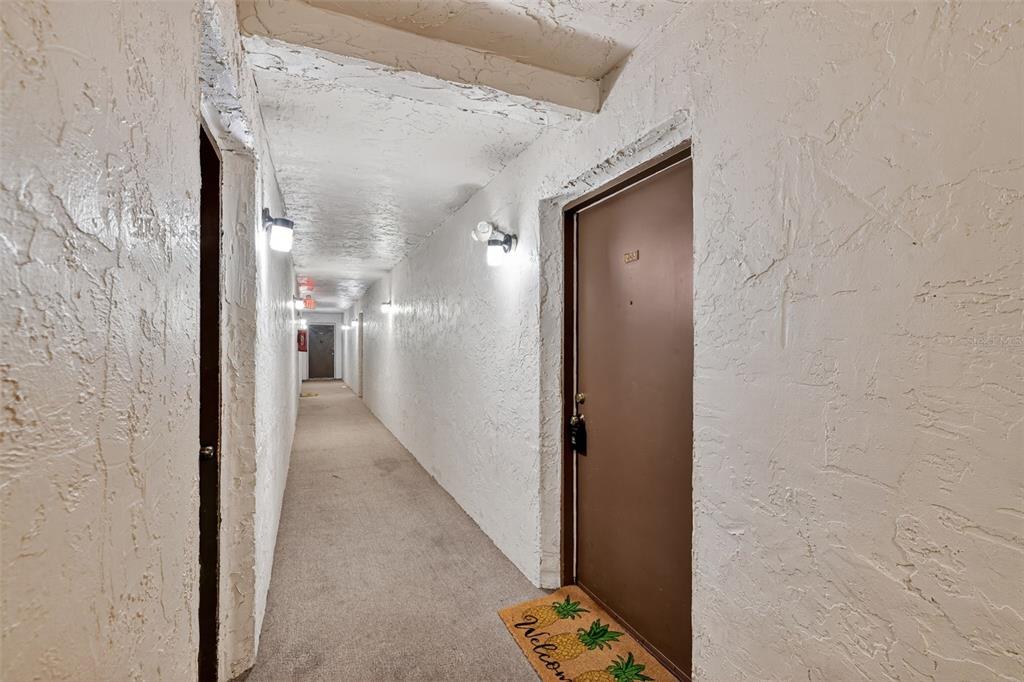 A long, narrow apartment hallway with white textured walls, brown doors, and carpeted flooring — 5541 BAY BOULEVARD UNIT 203, PORT RICHEY, FL