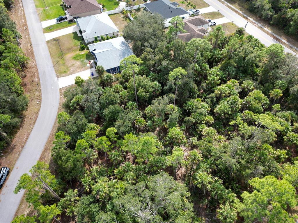 An aerial view shows a wooded lot adjacent to a residential street and several houses — FELIX AVENUE, NORTH PORT, FL