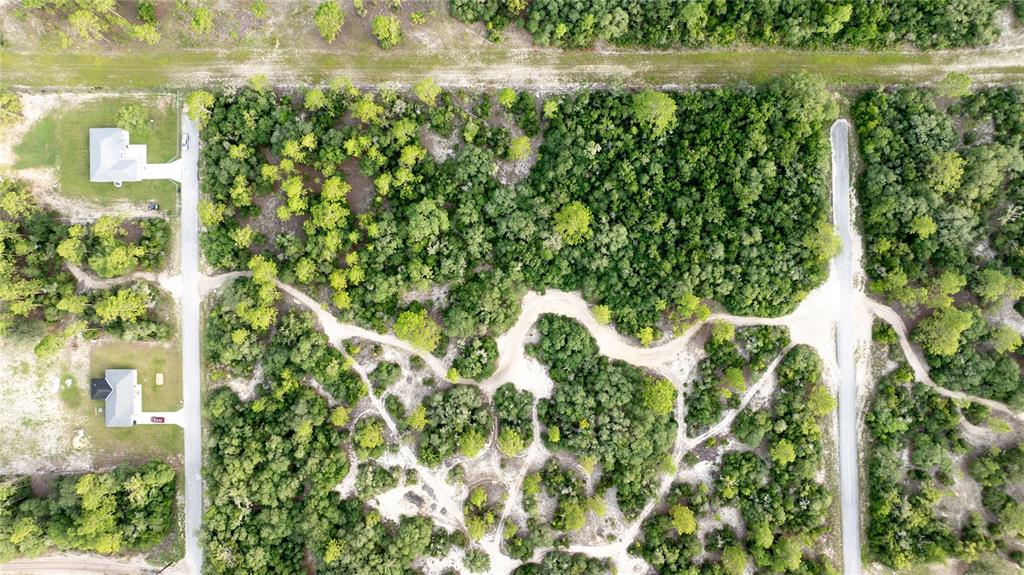This aerial view shows two houses on a road bordering a large, wooded vacant lot — 00 SW AZALEA, DUNNELLON, FL
