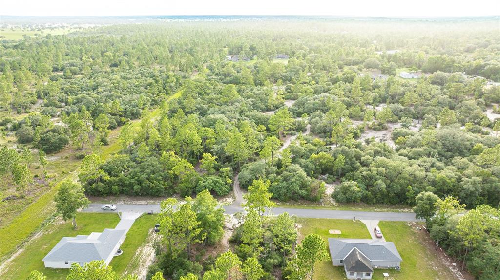 An aerial view shows two houses on a paved road surrounded by dense wooded land — 00 SW AZALEA, DUNNELLON, FL