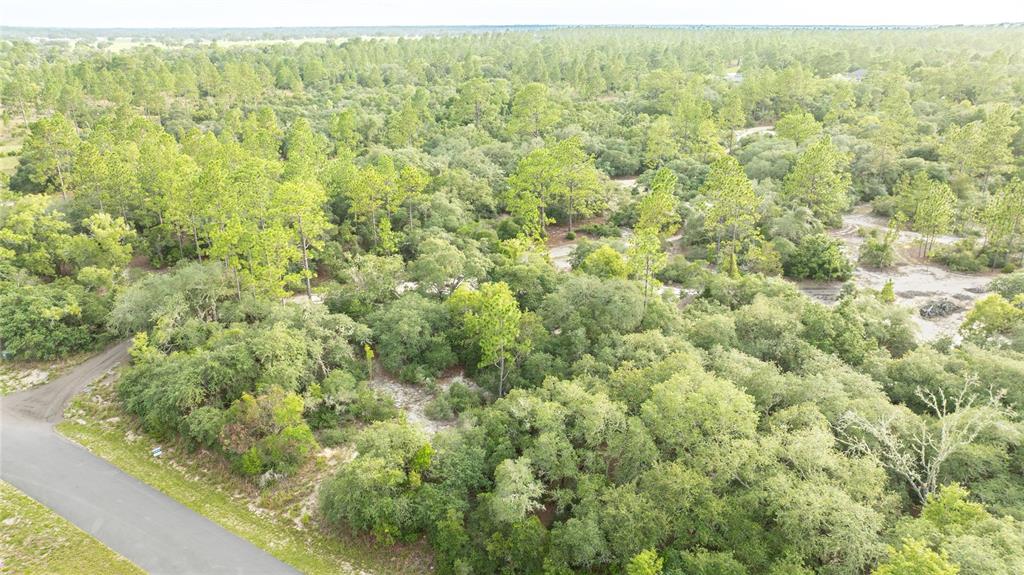 An aerial view shows a paved road bordering a wooded lot with dense green vegetation — 00 SW AZALEA, DUNNELLON, FL
