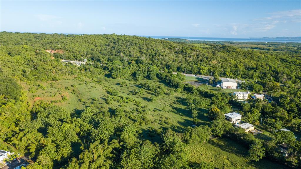 An aerial view shows a large, grassy, sloped lot surrounded by dense trees and buildings — 100 PUERTO RICO, CABO ROJO, PR