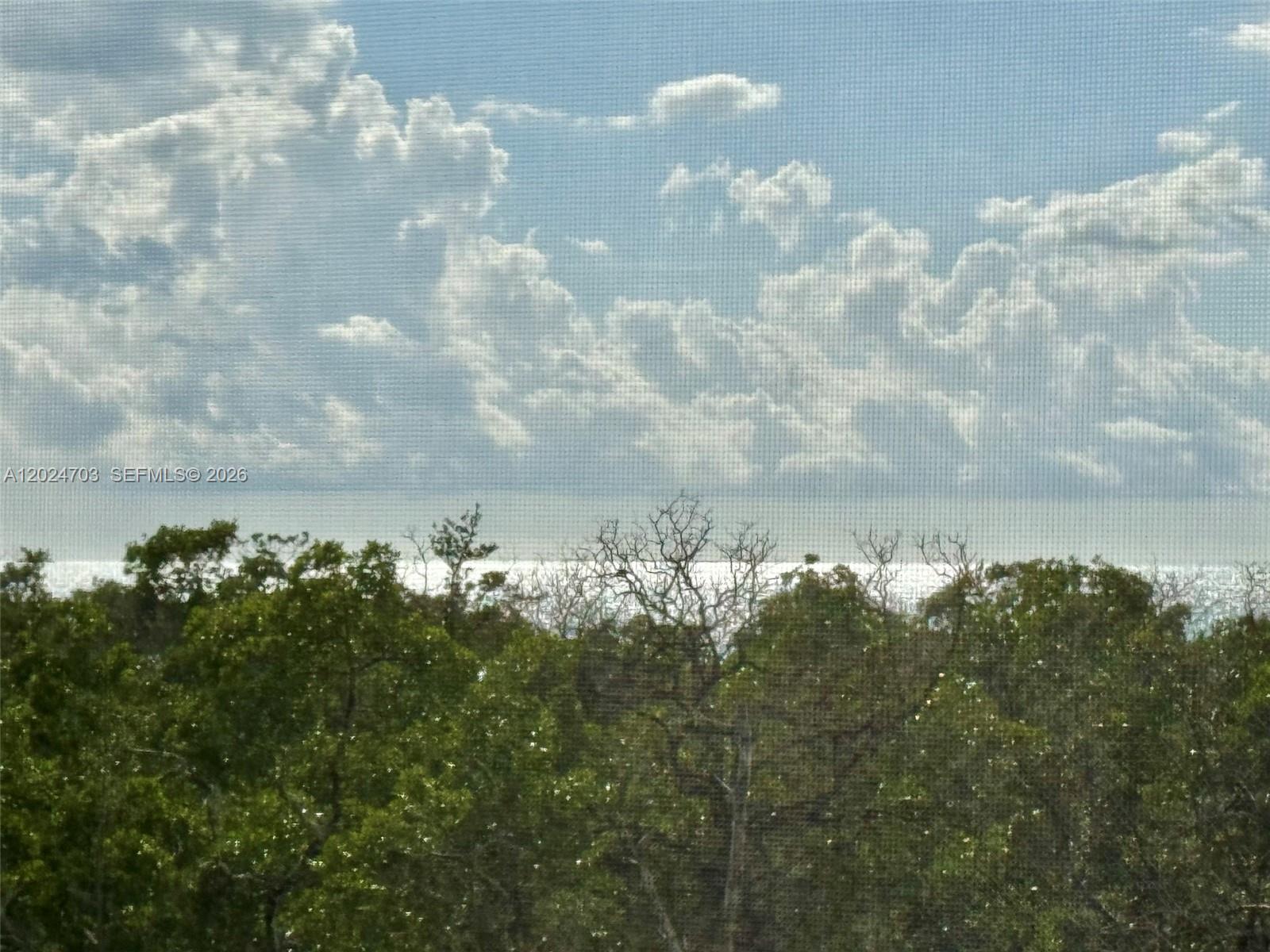 5 Bluebill # 403, Naples FL 34108
