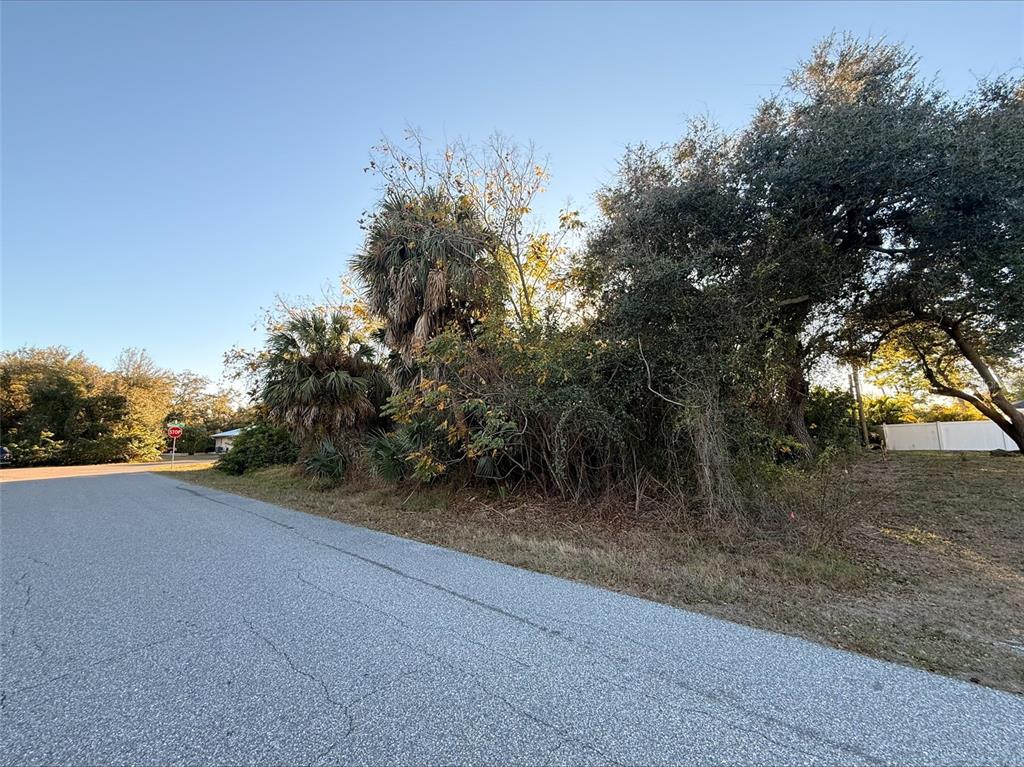 A paved road runs alongside a vacant lot featuring dense trees and palm vegetation — 1100 BELMAR AVENUE, PORT CHARLOTTE, FL