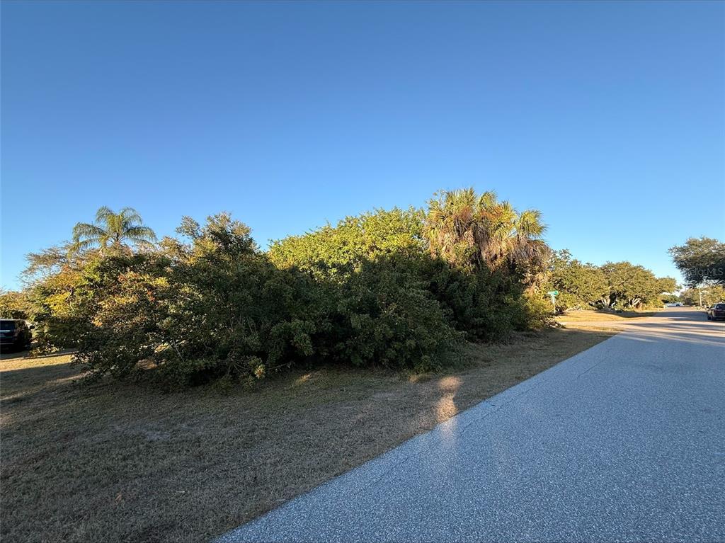 A paved road runs alongside a grassy lot filled with dense green trees and shrubs — 1100 BELMAR AVENUE, PORT CHARLOTTE, FL