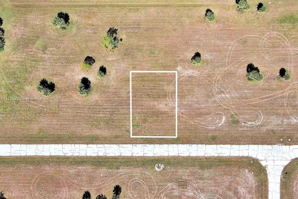 An aerial view shows a rectangular lot outlined in white situated next to a road — 13699 WALLEYE WAY, PLACIDA, FL
