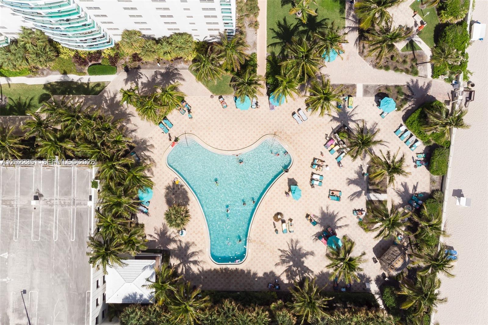 An aerial view shows a uniquely shaped swimming pool surrounded by palm trees and lounge chairs — 3801 S Ocean Dr # 2Z, Hollywood FL 33019, HOLLYWOOD, FL