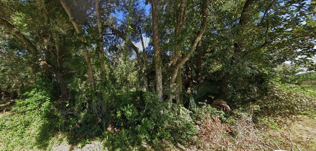 SE HAWTHORNE ROAD, HAWTHORNE, FL — photo 3 of 7