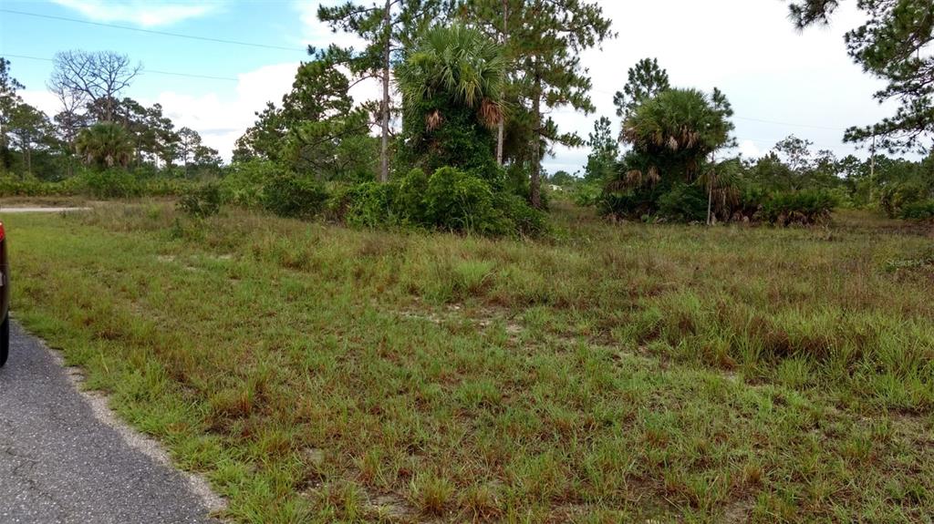 A grassy, undeveloped lot with scattered trees and shrubs borders a paved road — 4006 E 5TH STREET, LEHIGH ACRES, FL