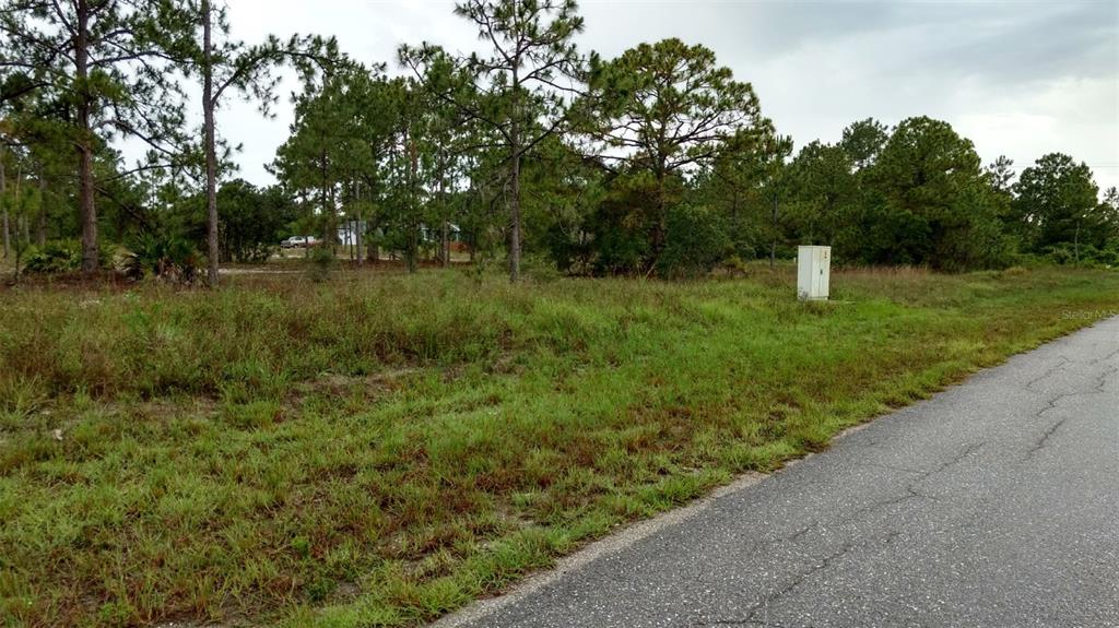 A grassy, wooded vacant lot sits beside a paved road with a utility box — 4006 E 5TH STREET, LEHIGH ACRES, FL