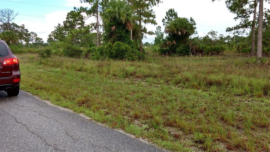 A red vehicle is parked on a paved road next to a grassy, undeveloped wooded lot — 4006 E 5TH STREET, LEHIGH ACRES, FL
